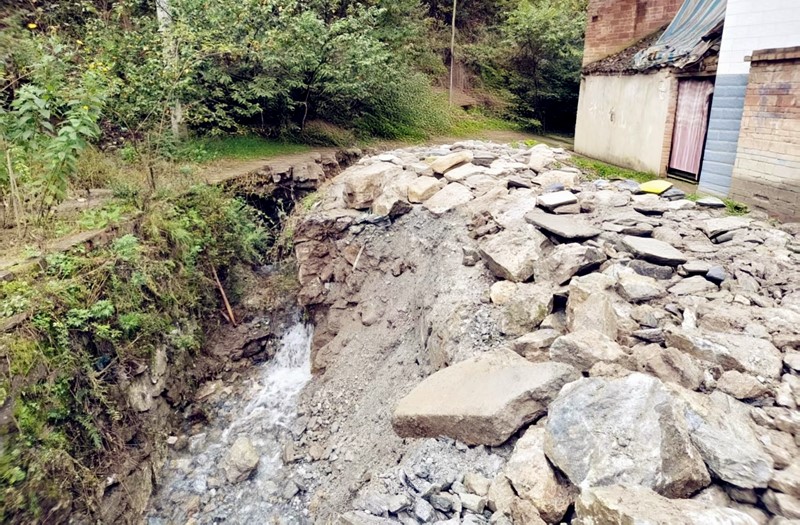 微信圖片_20251210112058_177_7_副本